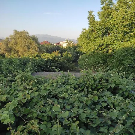 Green House Shkodër